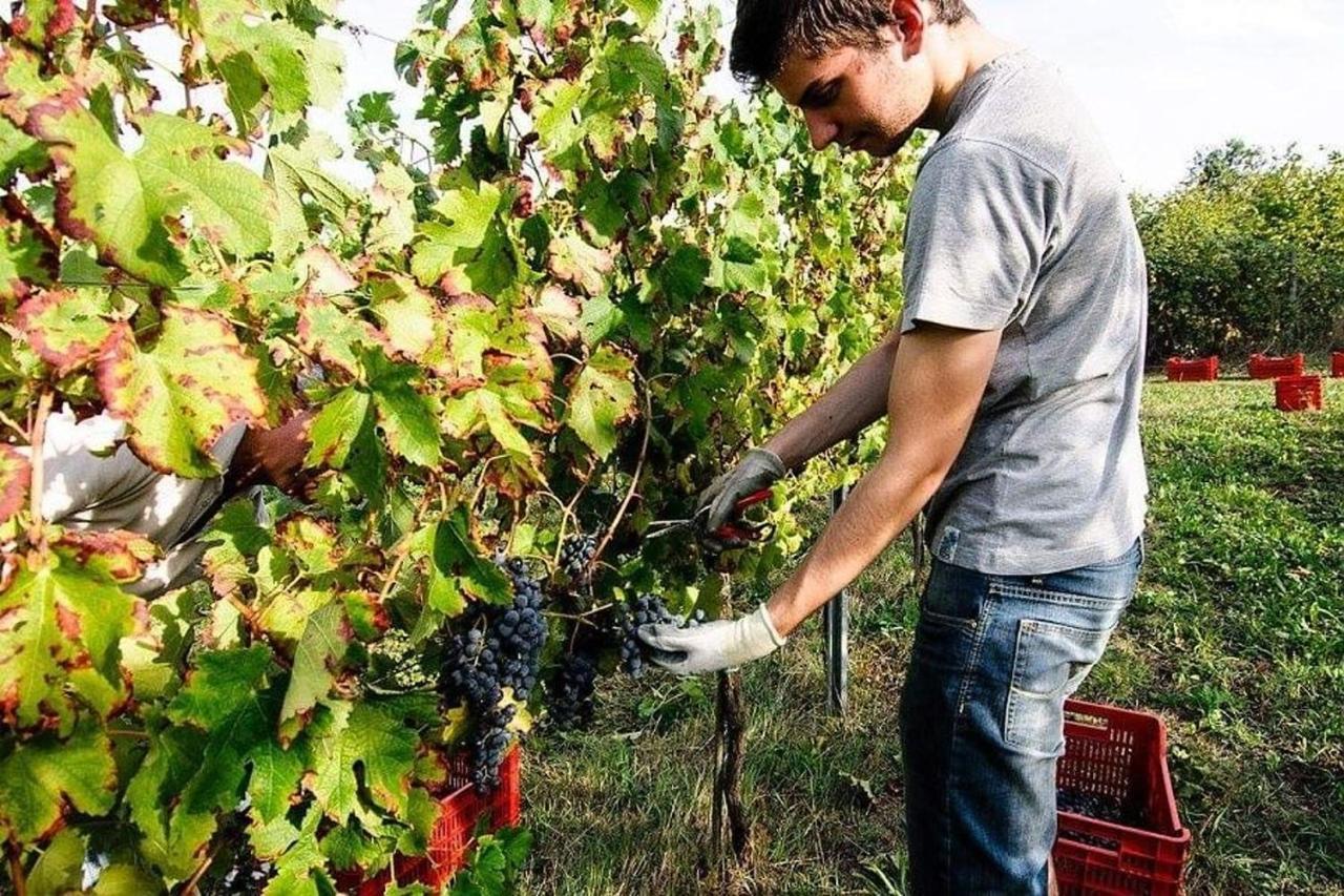 Agriturismo Podere Prasiano Marano sul Panaro Extérieur photo