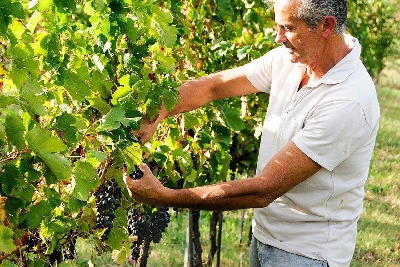 Agriturismo Podere Prasiano Marano sul Panaro Extérieur photo